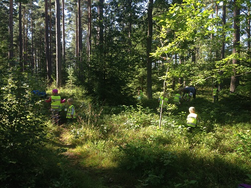 Verksamhet ute i naturen